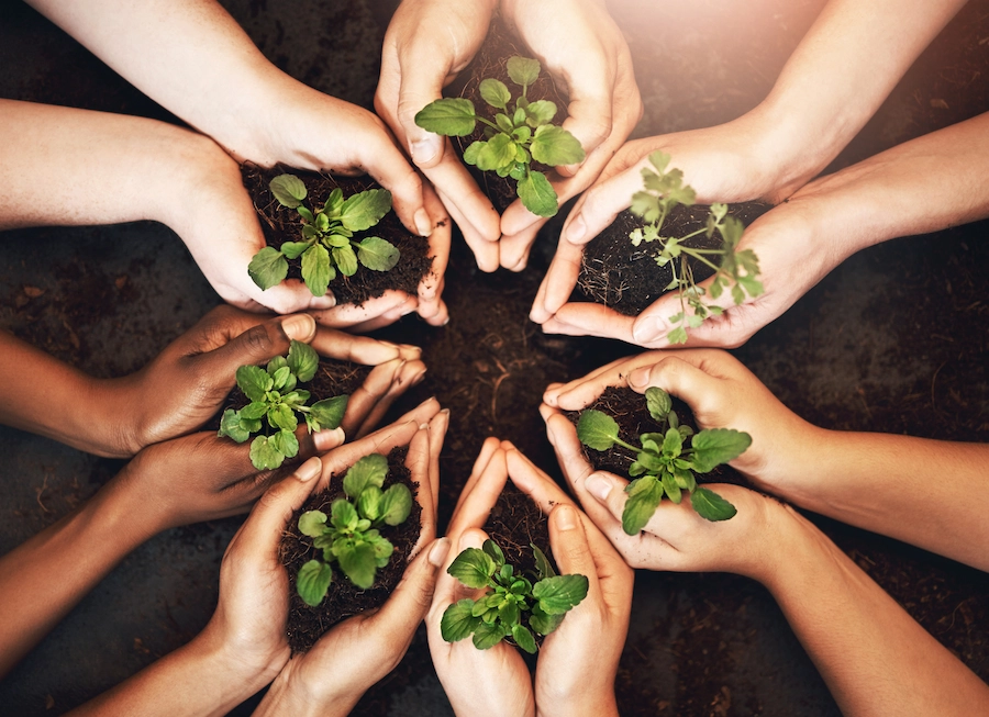 Podcast 4 people hands growth plants nature earth day leaves sustainability support garden group farmer soil agriculture community help carbon footprint with ecology